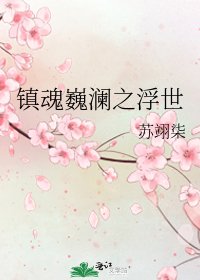 镇魂巍澜之浮世